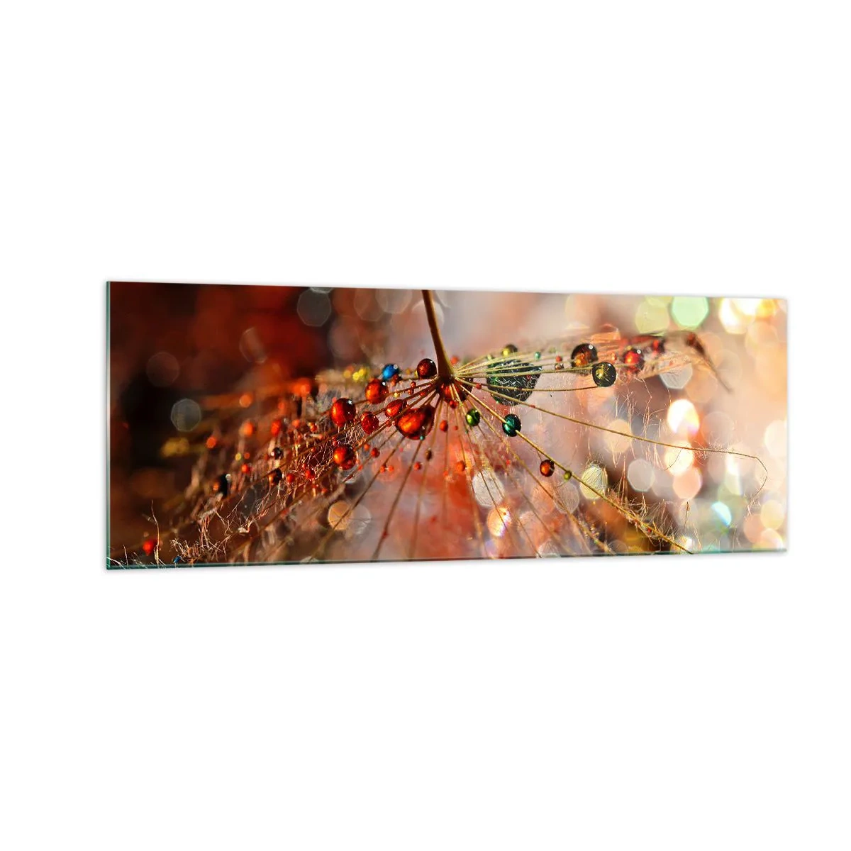 Quadro su vetro - Macrofotografia di una goccia d'acqua su una pianta delicata - 140x50cm - Posate sulla ragnatela - Decorazione murale moderna per soggiorno e camera da letto ARTTOR