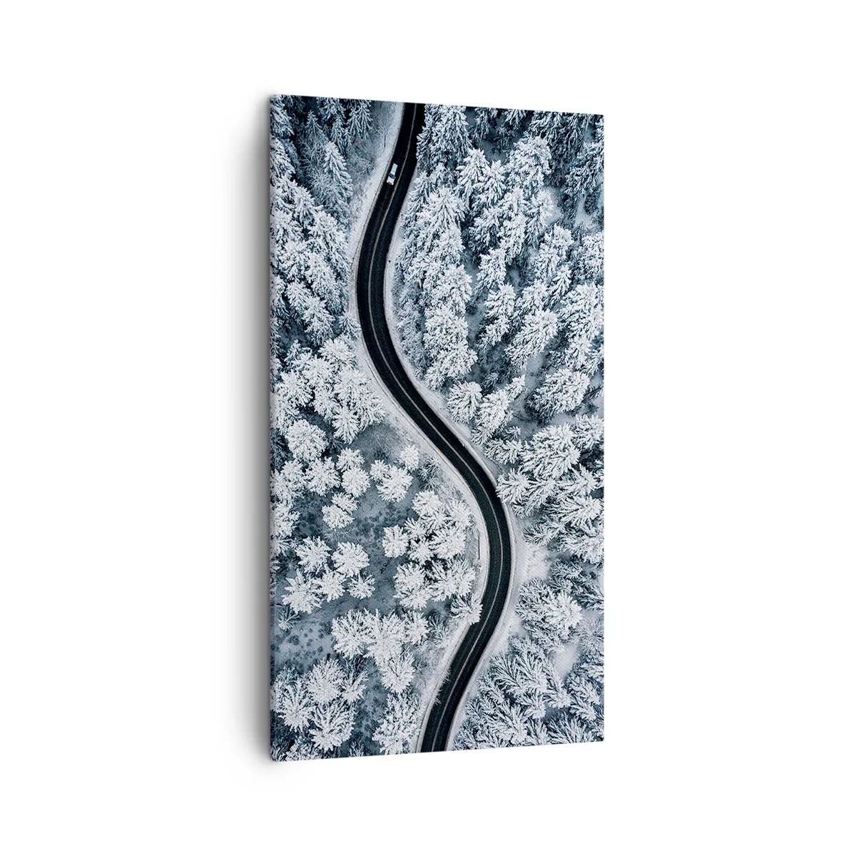 Quadro su tela - Stampe su Tela - Attraverso il bosco invernale - 45x80 cm