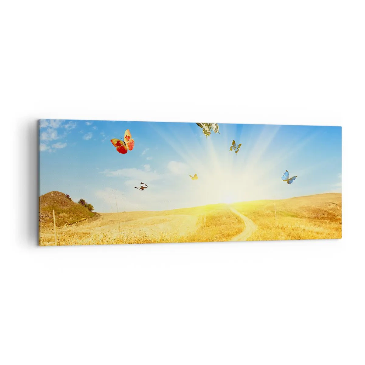 Quadro su tela - Stampe su Tela - Un campo dorato, un sentiero e farfalle contro un cielo azzurro - 140x50cm - Come non amare l'estate? - Decorazione murale moderna per soggiorno e camera da letto ARTTOR