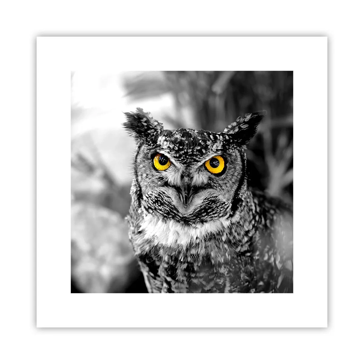 Poster - Non si può nascondere niente - 30x30 cm