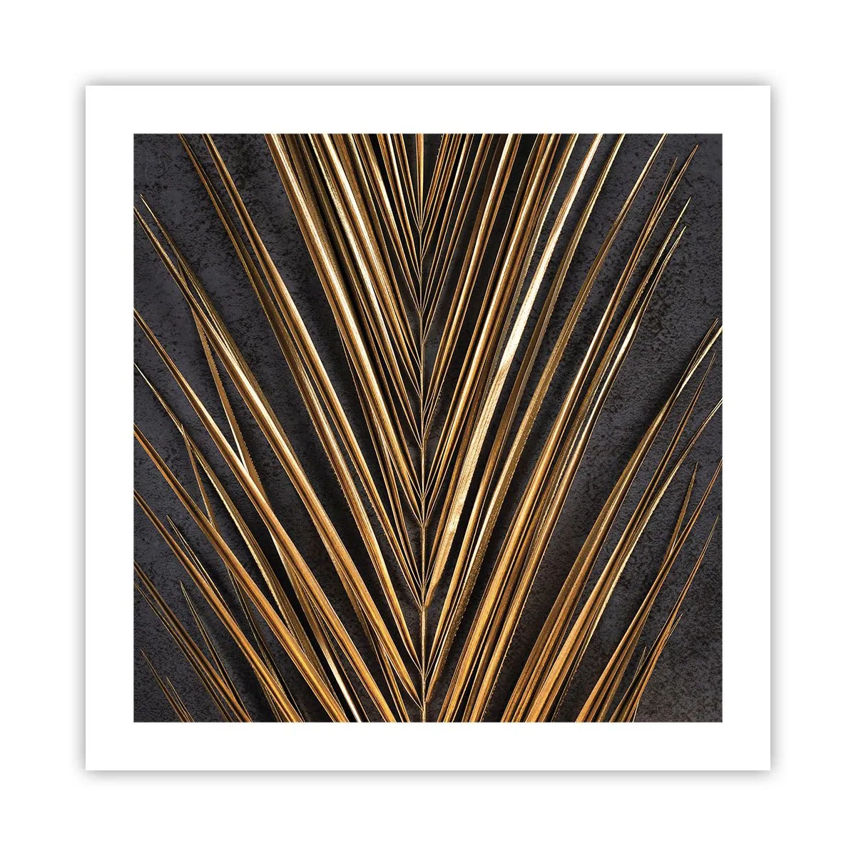 Poster - L'oro dei tropici - 50x50 cm