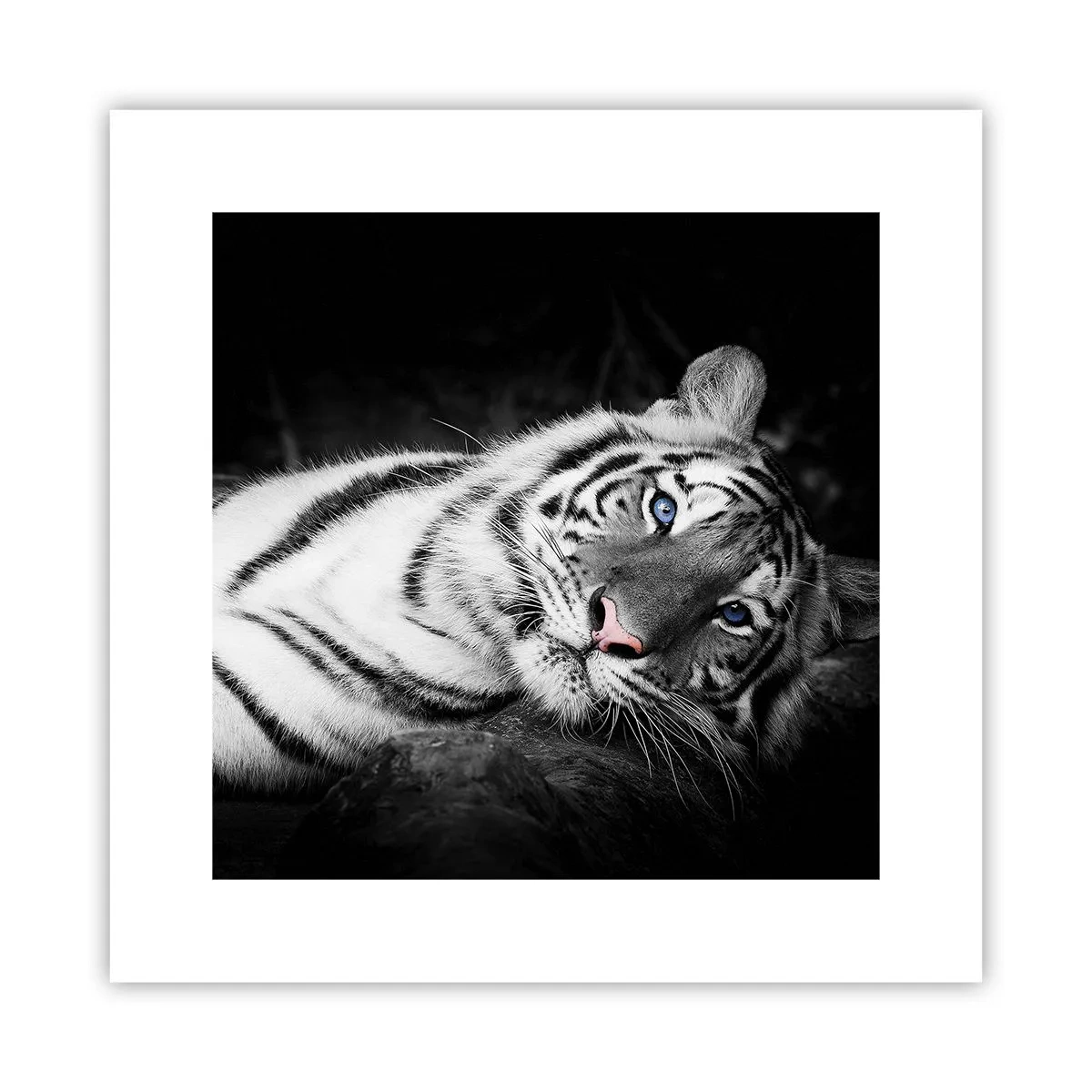 Poster - Selvaggità e pace - 30x30 cm