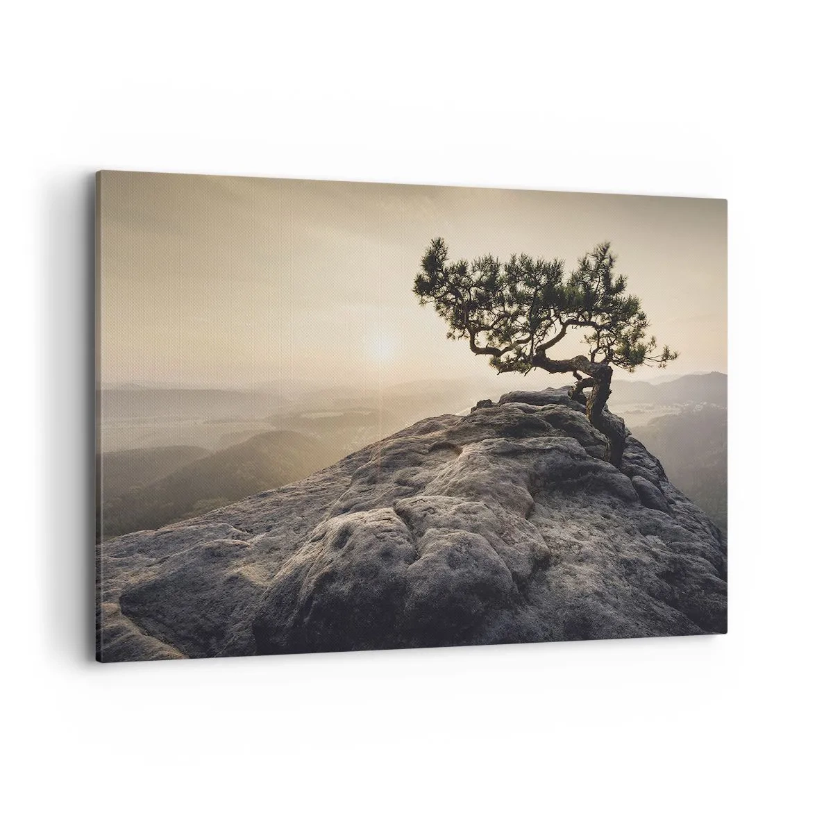 Quadro su tela - Stampe su Tela - Un albero solitario su una cima rocciosa alla luce del sole - 100x70cm - La vita vince sempre - Decorazione murale moderna per soggiorno e camera da letto ARTTOR