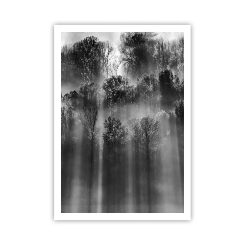 Poster - Nei getti di luce - 70x100 cm