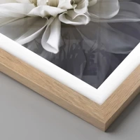 Rovere chiaro
