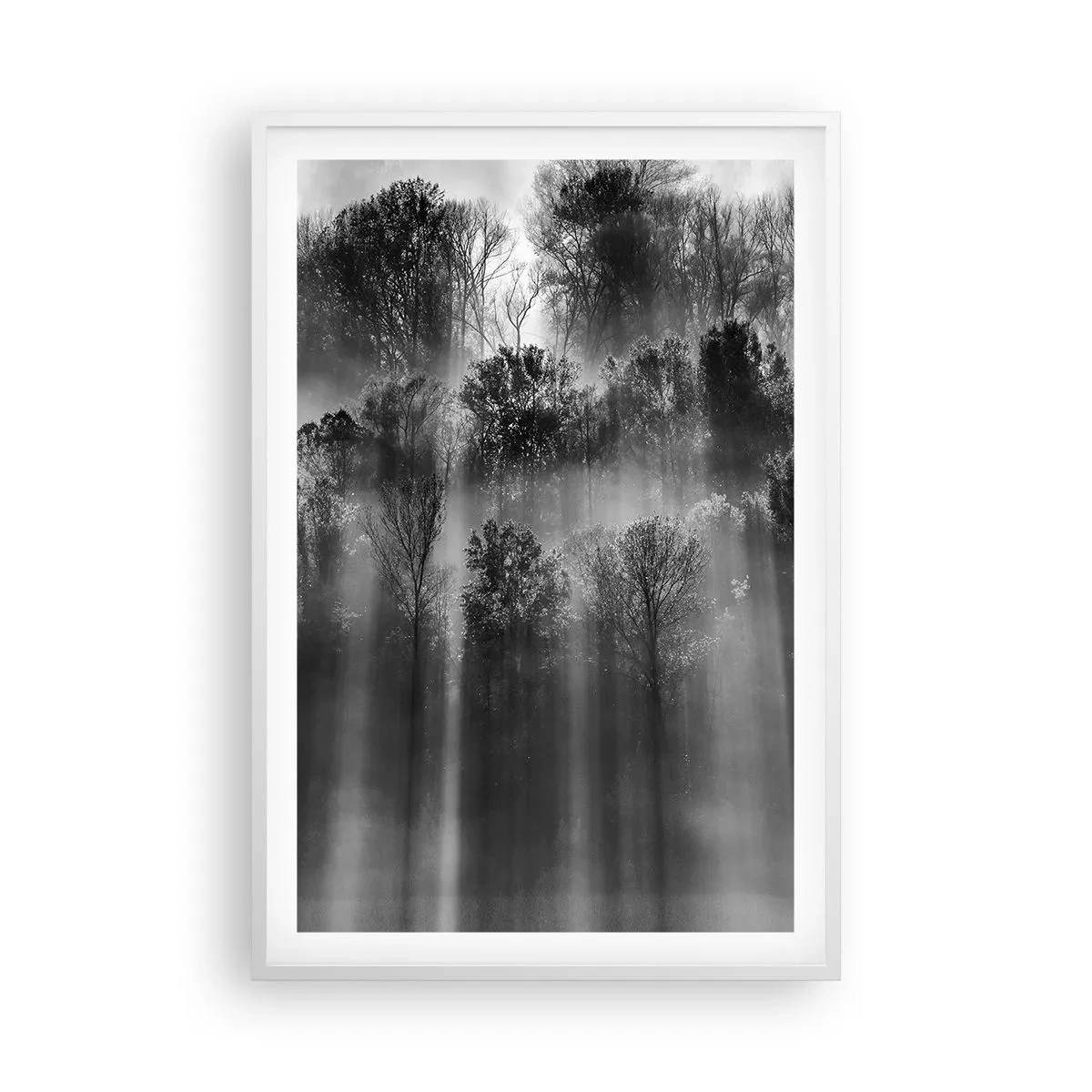 Poster in cornice bianca - Nei getti di luce - 61x91 cm