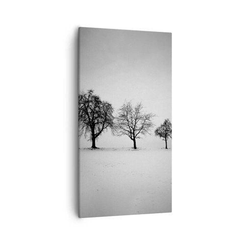 Quadro su tela - Stampe su Tela - Cosa sognano? - 55x100 cm