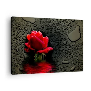 Quadro su tela - Stampe su Tela - Rosa rossa con gocce d'acqua su sfondo scuro - 70x50cm - Rosso e nero - Decorazione murale moderna per soggiorno e camera da letto ARTTOR