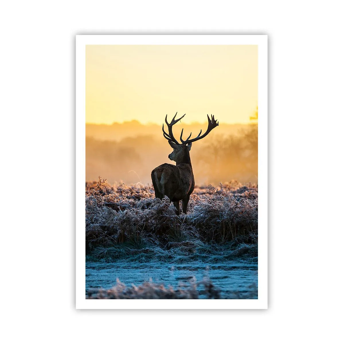 Poster - Incoronato nelle sue terre - 70x100 cm