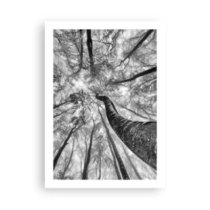 Poster - Prospettiva degli alberi in bianco e nero - 50x70cm - La corsa verso la luce - Decorazione murale moderna per soggiorno e camera da letto ARTTOR