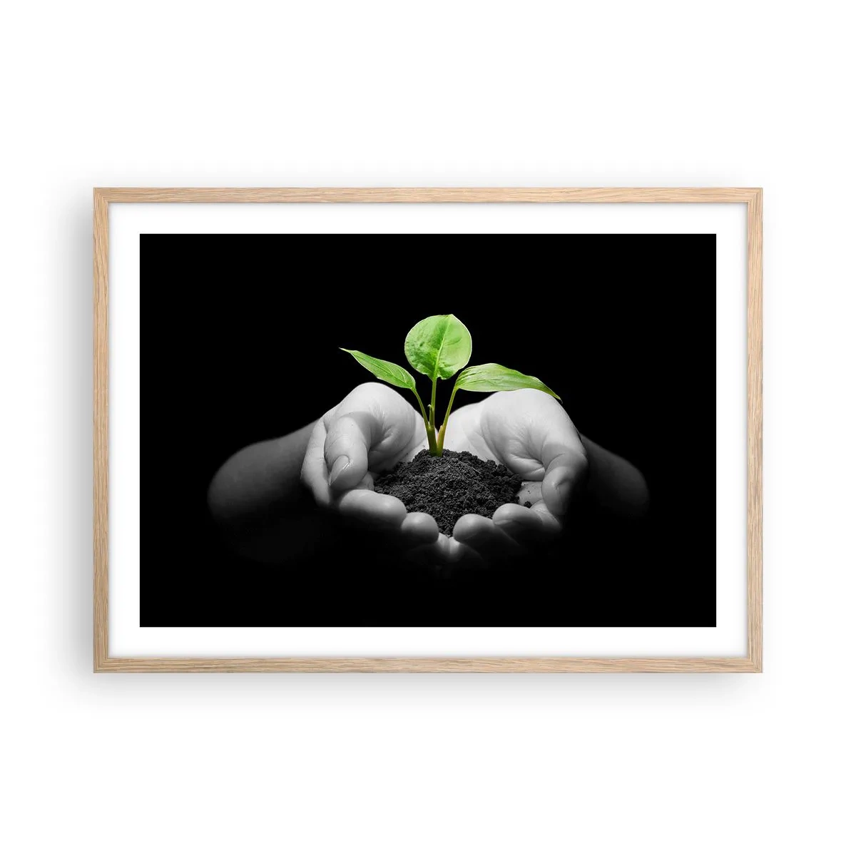 Poster in cornice rovere chiaro - Amo la natura, la proteggo - 70x50 cm