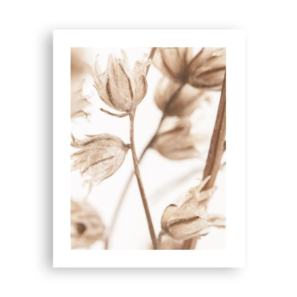 Poster - Suonano alla fine dell'estate - 40x50 cm