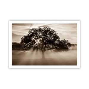 Poster - L'albero delle sole buone notizie - 91x61 cm