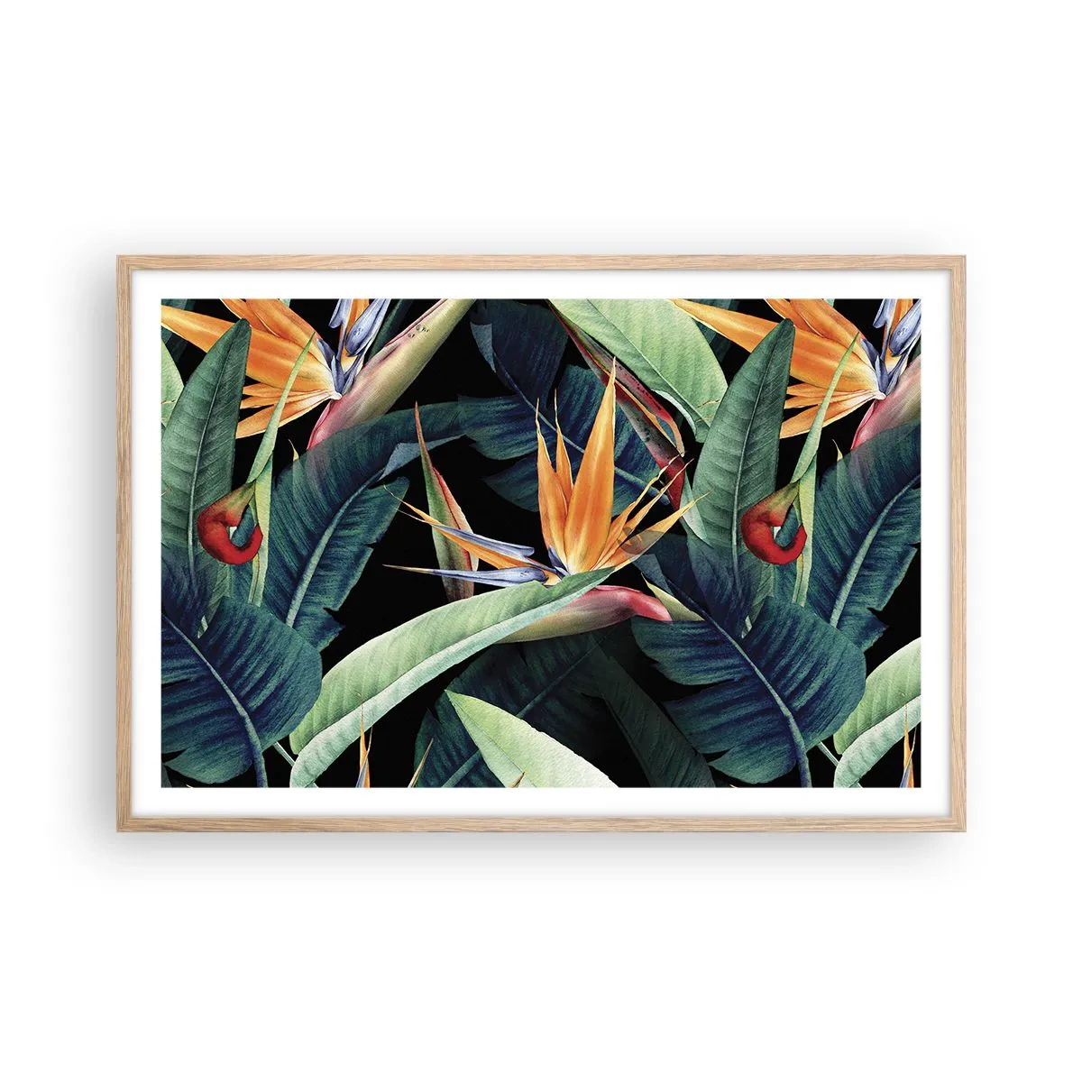 Poster in cornice rovere chiaro - I fiori fiammeggianti dei tropici - 91x61 cm