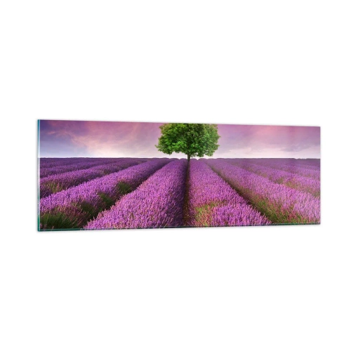 Quadro su vetro - Sui campi di lavanda - 90x30 cm
