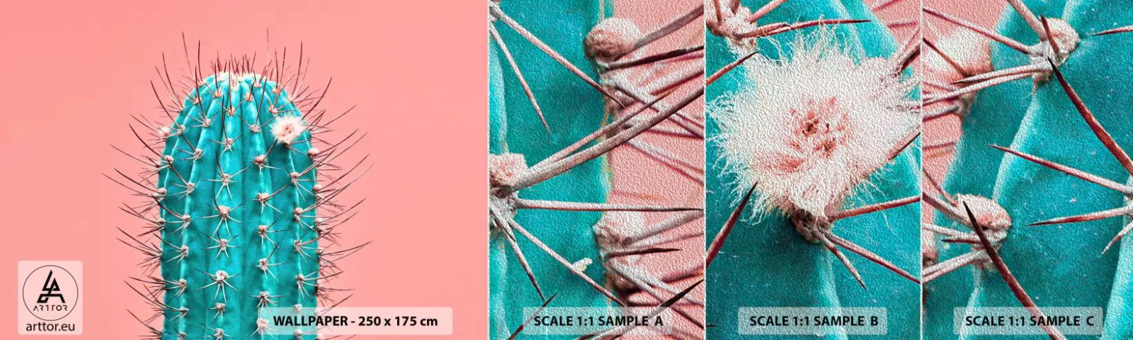 Campione di Fotomurale Premium Sand - Stai attento - Cactus, Pastello, Minimalismo - 100x30 cm