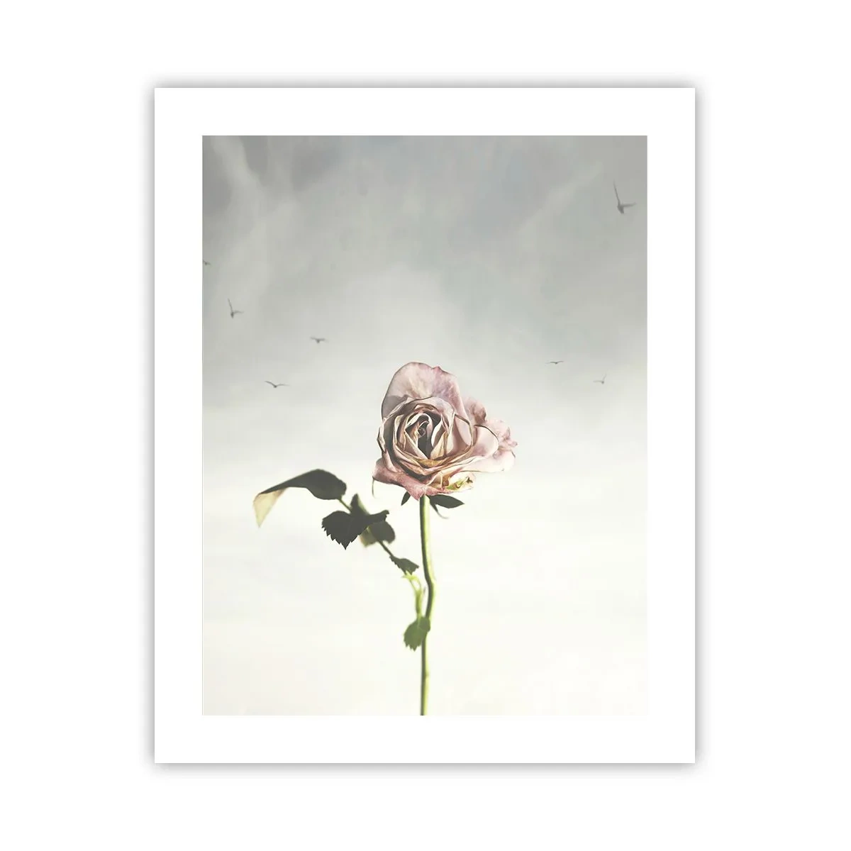 Poster - Il benvenuto alla primavera - 40x50 cm