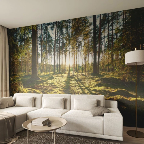 Fotomurali Standard Eco - Foresta soleggiata con muschio verde e lunghe ombre degli alberi - 100x70cm - …dopo sette foreste - Decorazione murale moderna per soggiorno e camera da letto ARTTOR