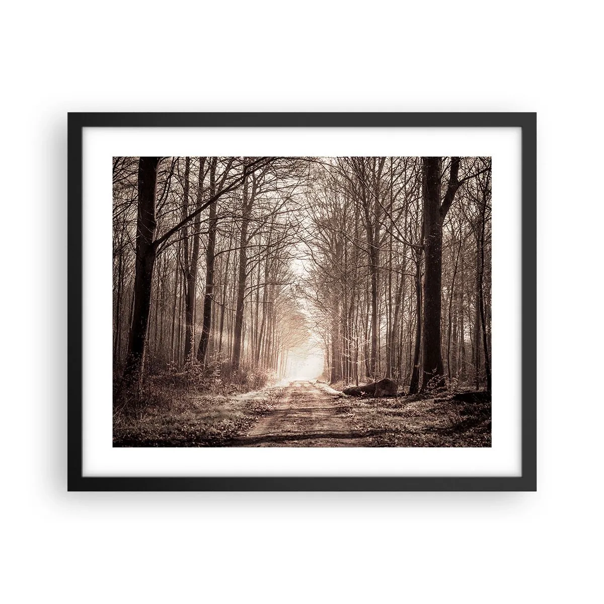 Poster in cornice nera - La cattedrale del bosco - 50x40 cm