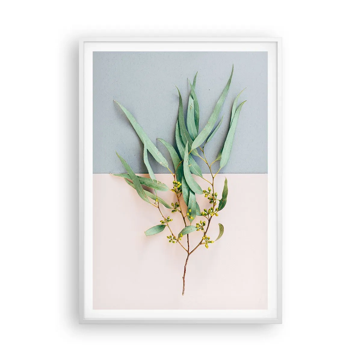 Poster in cornice bianca - Delicatezza pastello - 70x100 cm