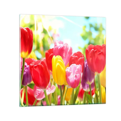 Quadro su vetro - Eccoci, i colori di maggio! - 70x70 cm