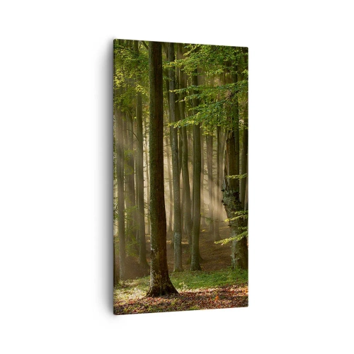 Quadro su tela - Stampe su Tela - Raggiante in un mattino di primavera - 55x100 cm