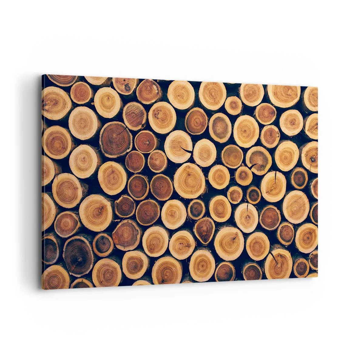 Quadro su tela - Stampe su Tela - Modello realizzato con sezioni trasversali di tronchi di legno - 120x80cm - Quanti anni mi dai? - Decorazione murale moderna per soggiorno e camera da letto ARTTOR