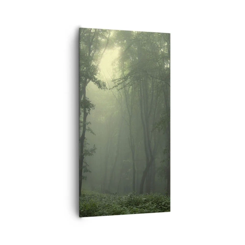 Quadro su tela - Stampe su Tela - Prima che si svegli - 65x120 cm