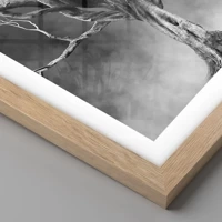 Rovere chiaro
