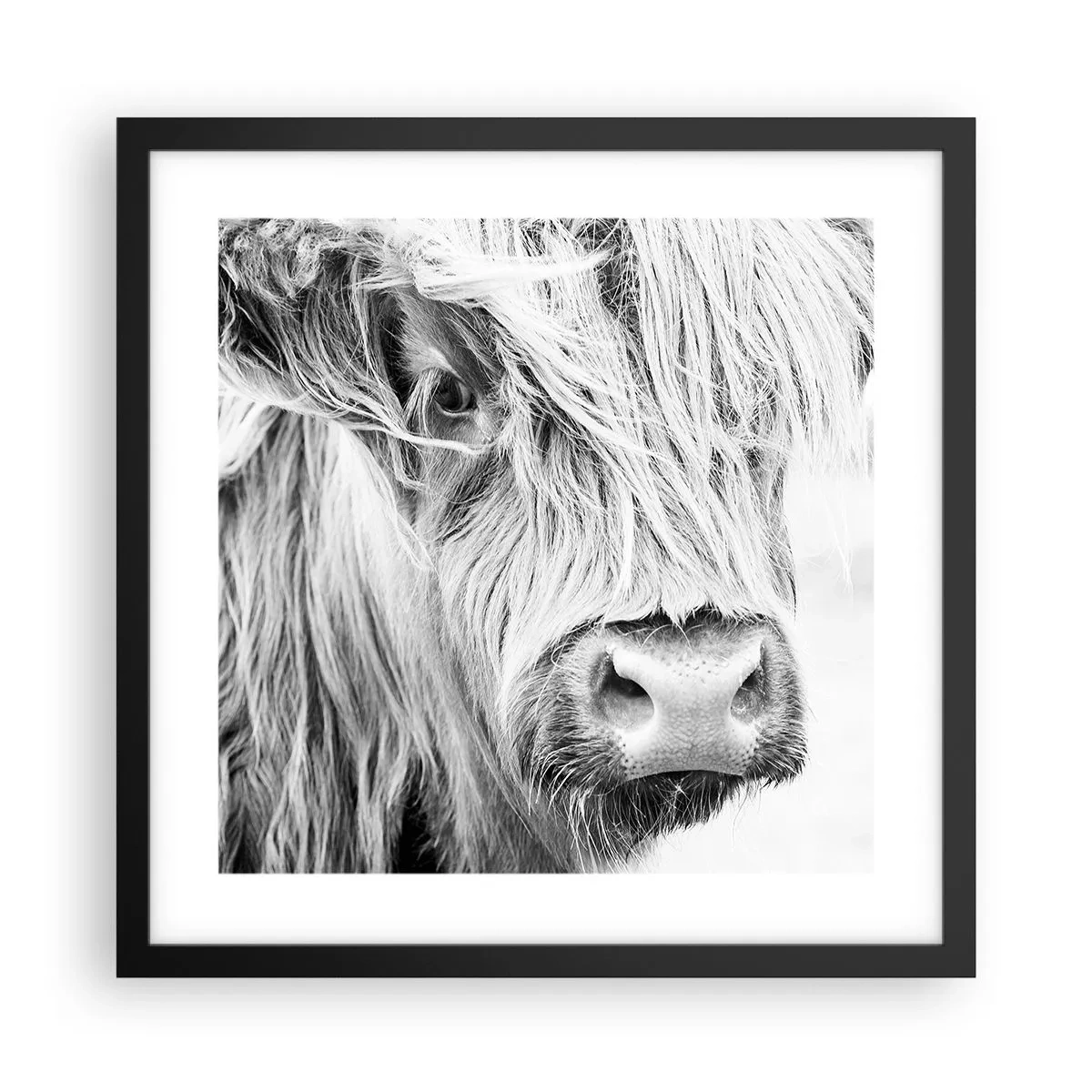 Poster in cornice nera - Selvaticità scozzese - 40x40 cm