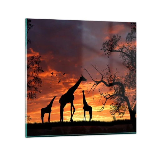 Quadro su vetro - Piccola cena tra amici - 50x50 cm