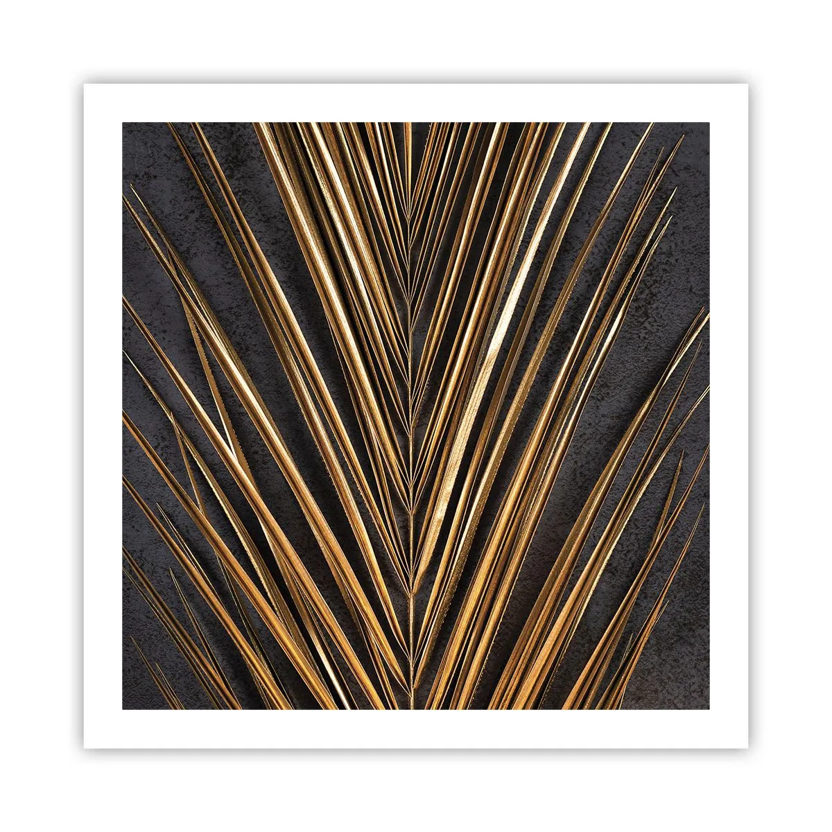 Poster - L'oro dei tropici - 60x60 cm