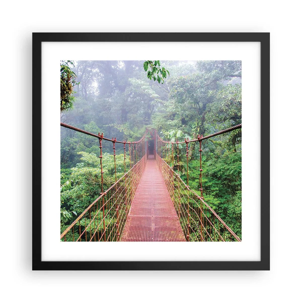 Poster in cornice nera - Sospeso sopra gli alberi - 40x40 cm