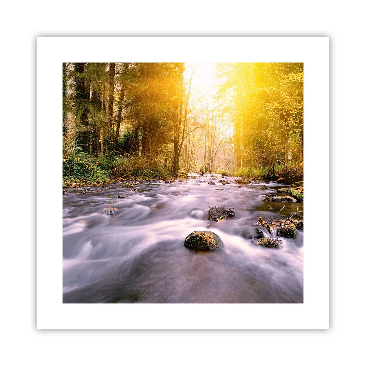 Poster - Malachite in cornice oro-argento - 40x40 cm