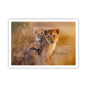 Poster - Adorabili cuccioli di leone nel loro ambiente naturale - 100x70cm - Non disturbare! Giochiamo - Decorazione murale moderna per soggiorno e camera da letto ARTTOR