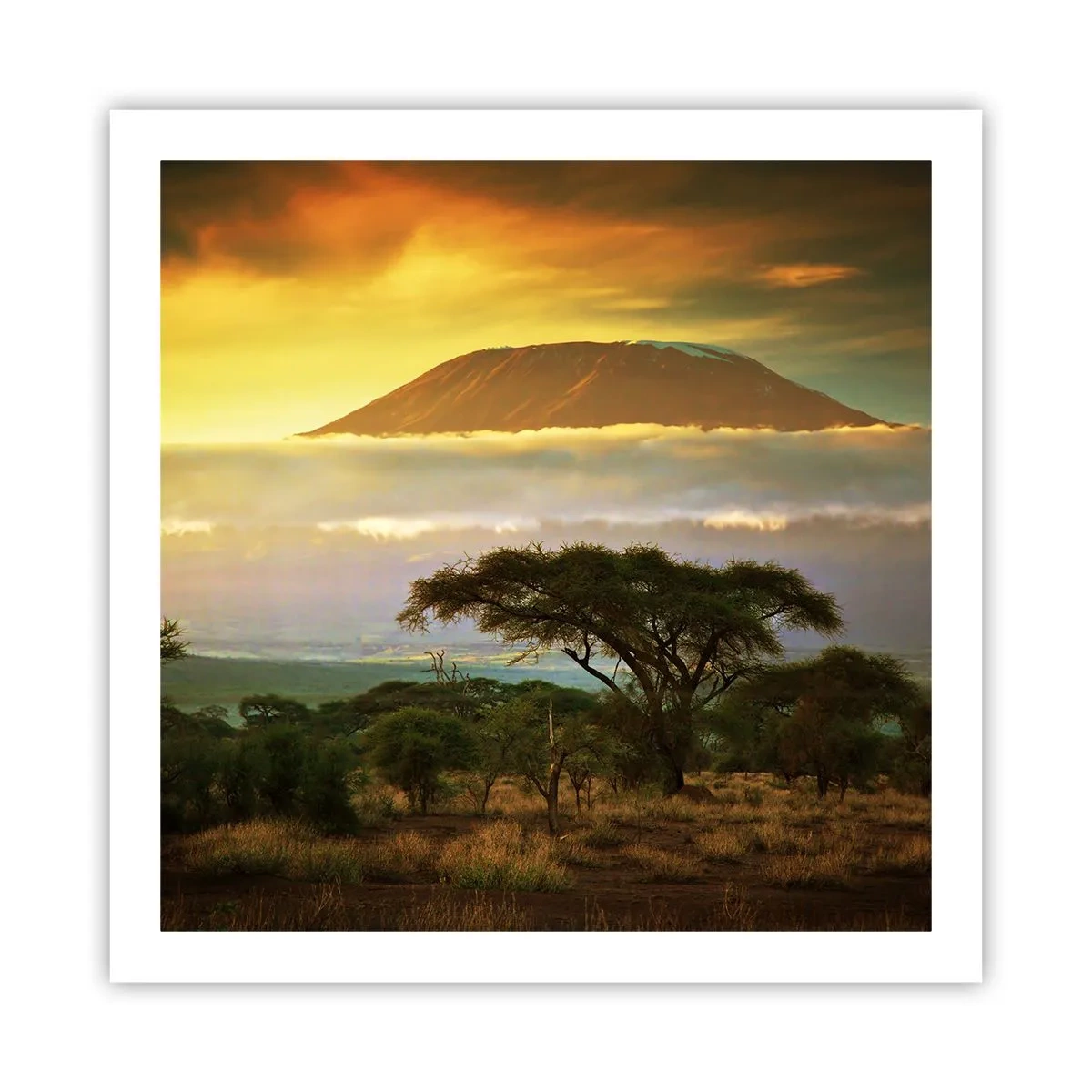 Poster - Il sogno del viaggiatore - 60x60 cm