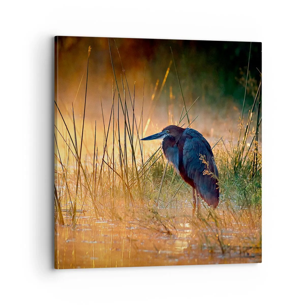 Quadro su tela - Stampe su Tela - Basta con queste foto - 70x70 cm