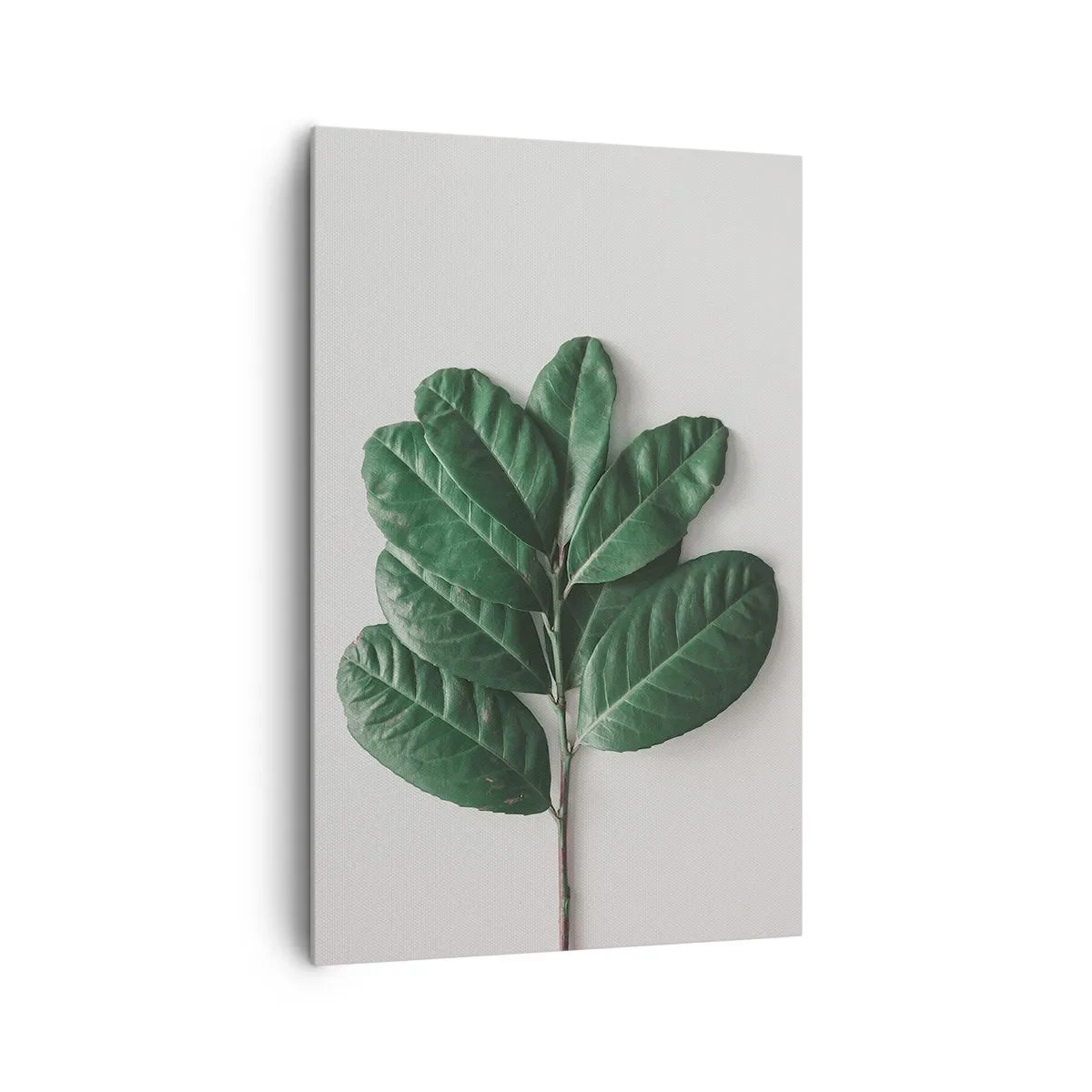 Quadro su tela - Stampe su Tela - Un rametto di foglie verdi su uno sfondo chiaro - 80x120cm - Il disegno della natura stessa - Decorazione murale moderna per soggiorno e camera da letto ARTTOR