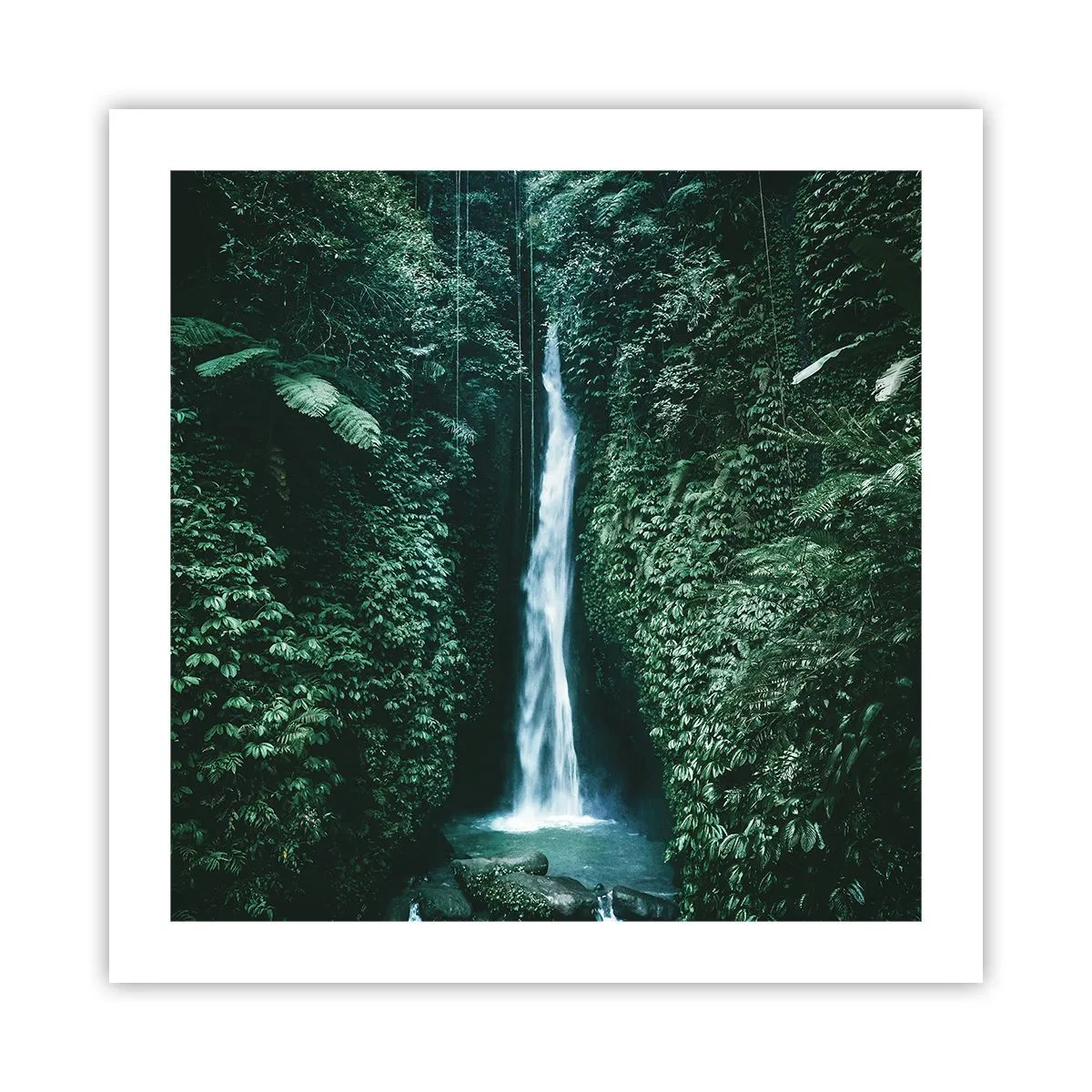 Poster - Terme tropicali - 50x50 cm