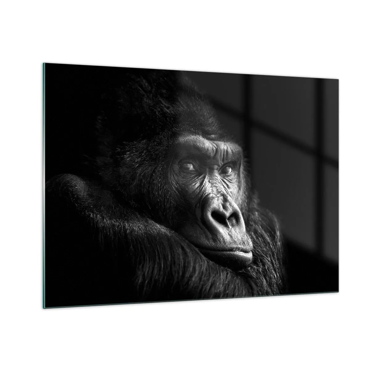 Quadro su vetro - Ritratto in bianco e nero di un gorilla all'ombra di una finestra - 100x70cm - E cosa guardi? - Decorazione murale moderna per soggiorno e camera da letto ARTTOR