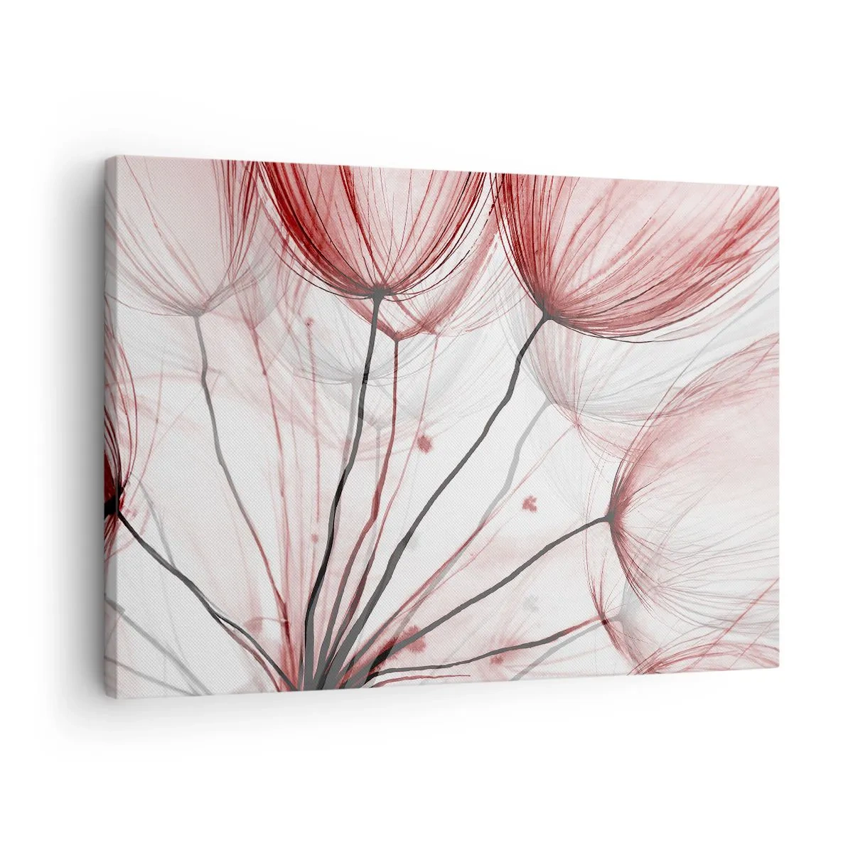 Quadro su tela - Stampe su Tela - Delicati fiori nei toni del rosso su uno sfondo chiaro - 70x50cm - Prima del decollo - Decorazione murale moderna per soggiorno e camera da letto ARTTOR