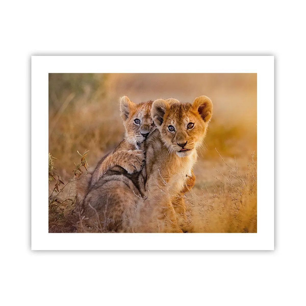 Poster - Non disturbare! Giochiamo - 50x40 cm