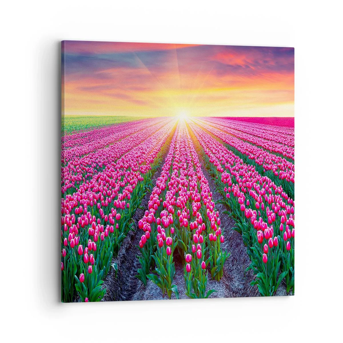 Quadro su tela - Stampe su Tela - La fattoria della bellezza - 70x70 cm