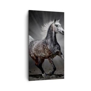 Quadro su tela - Stampe su Tela - Grigio è bello - 45x80 cm