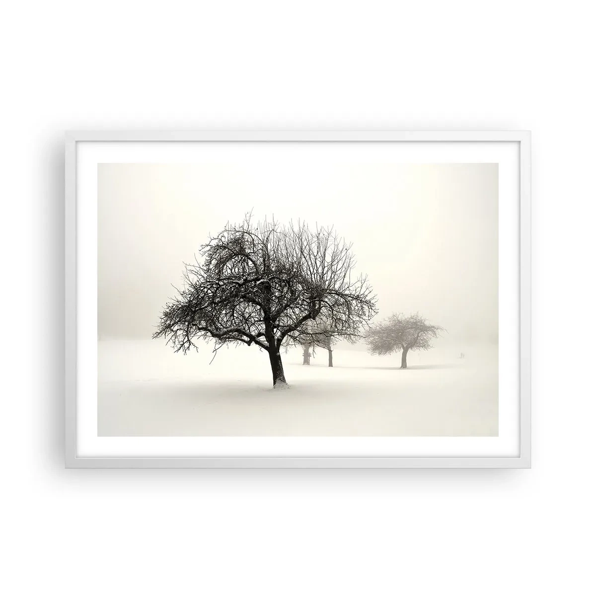 Poster in cornice bianca - Sogno invernale - 70x50 cm
