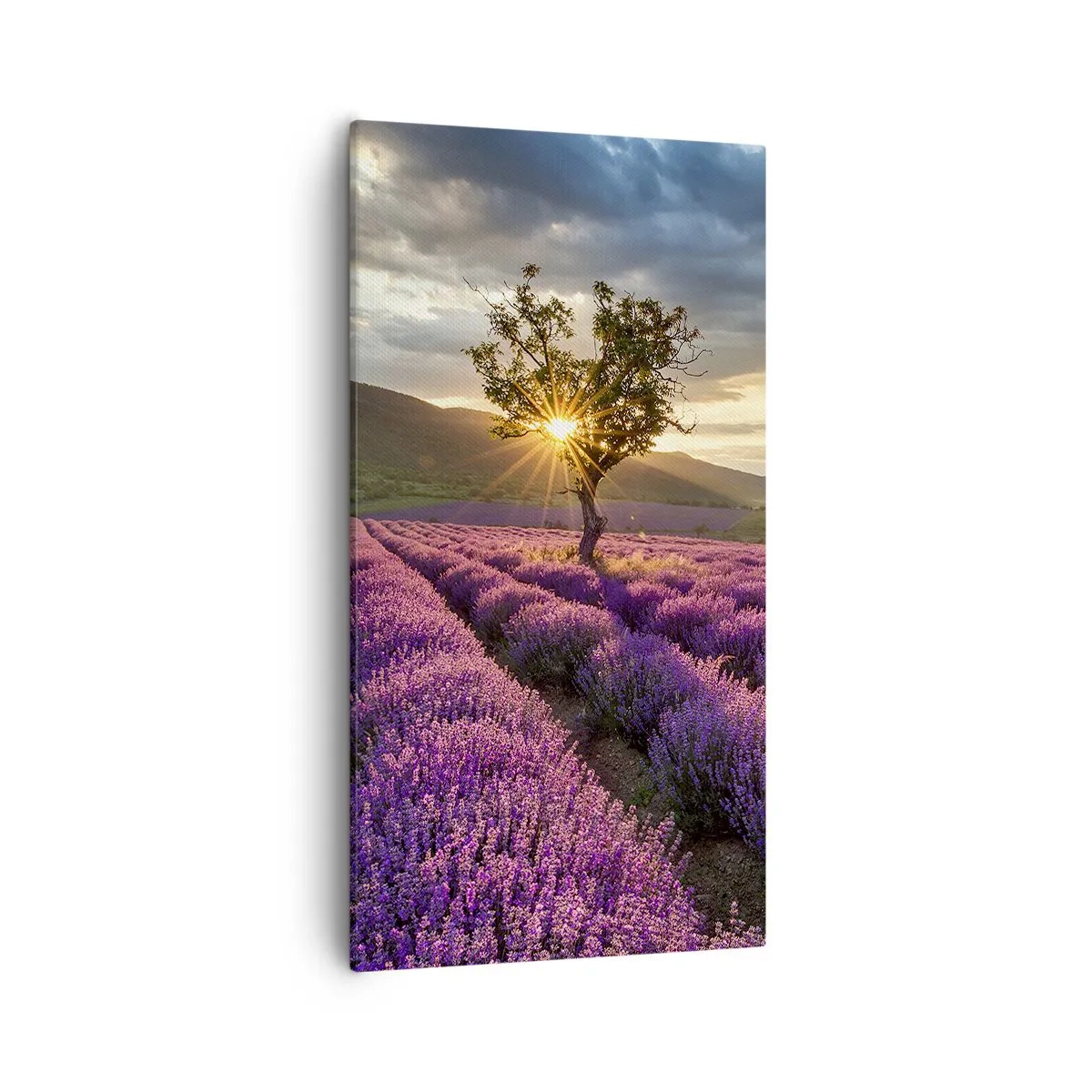 Quadro su tela - Stampe su Tela - Aroma di colore lilla - 55x100 cm