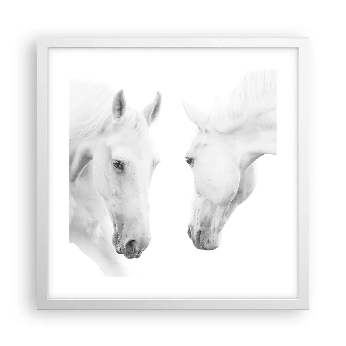 Poster in cornice bianca - È amicizia? - 40x40 cm