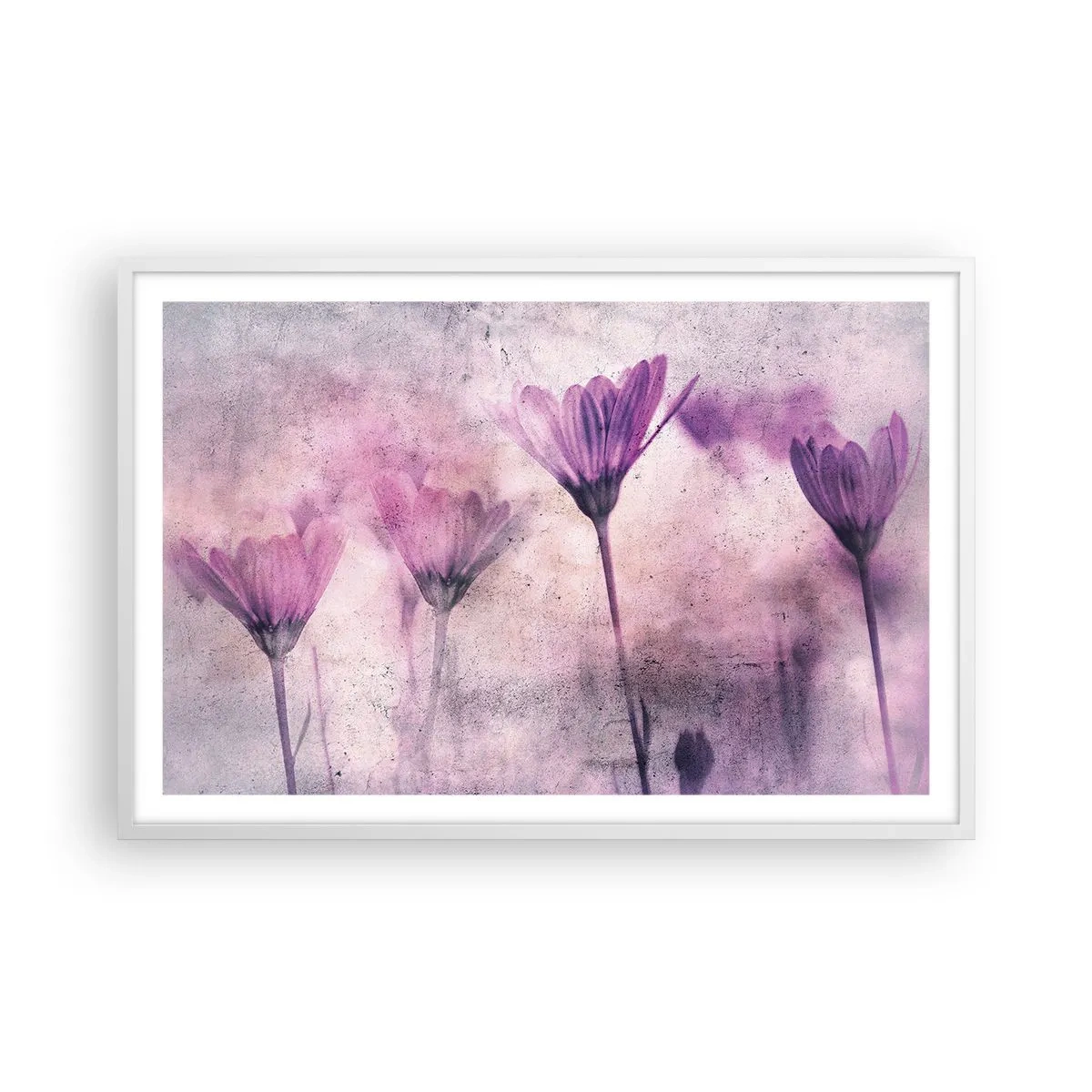 Poster in cornice bianca - Il sogno dei fiori - 91x61 cm