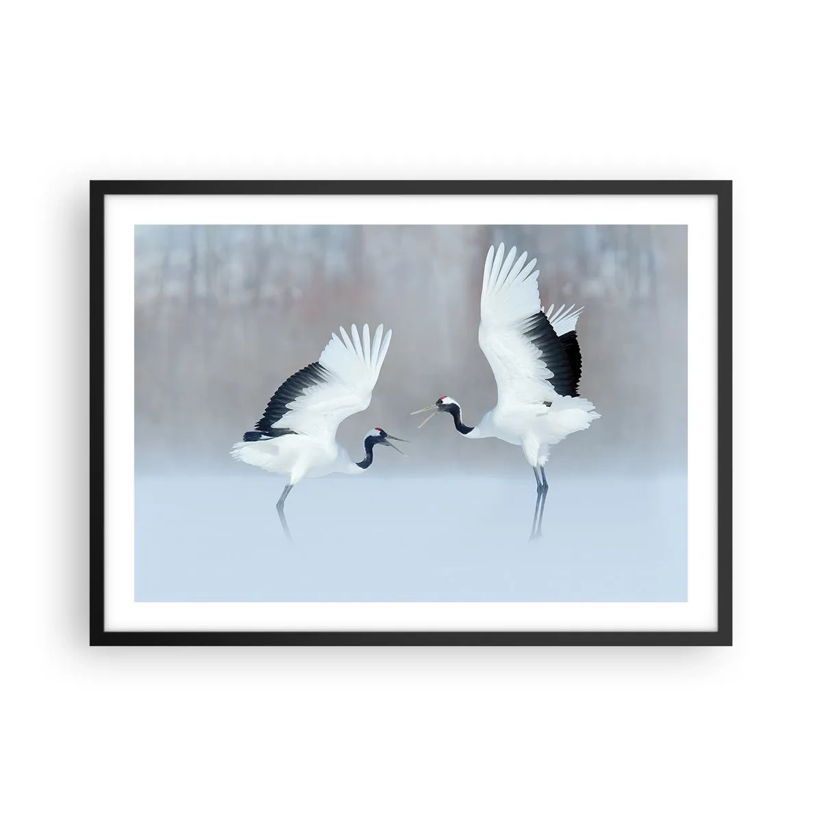 Poster in cornice nera - Due gru che danzano in un paesaggio nebbioso - 70x50cm - Danza nella nebbia - Decorazione murale moderna per soggiorno e camera da letto ARTTOR