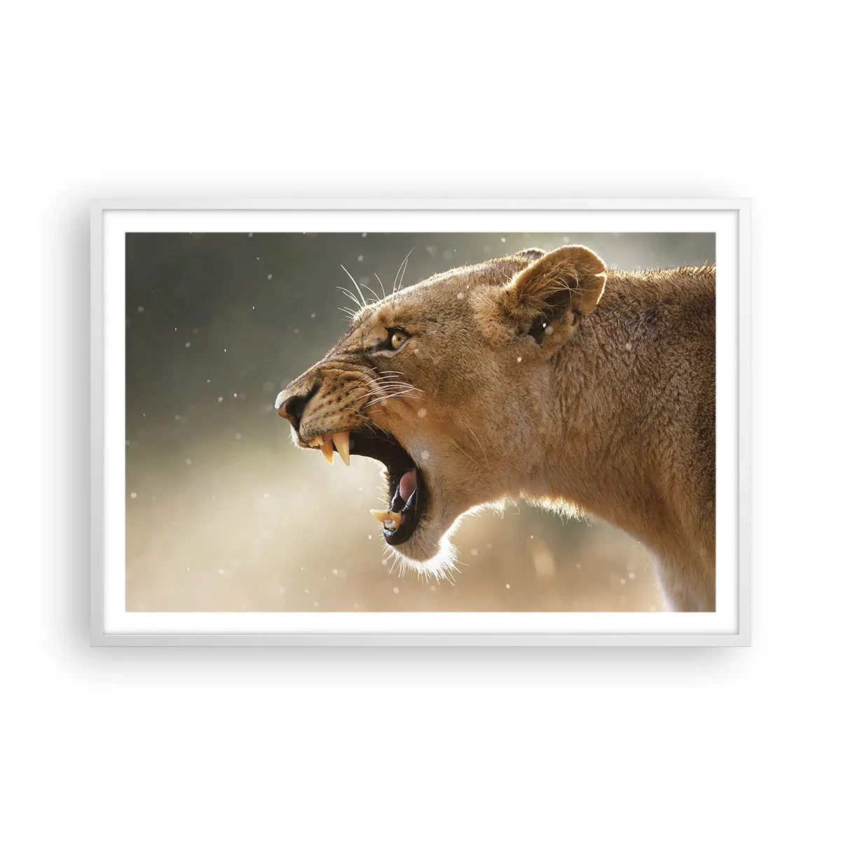 Poster in cornice bianca - Prova a non ascoltare - 91x61 cm